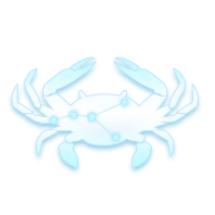 Cancer icon