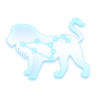 Leo icon